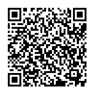 要不是这样就算是贝海几人在甲板上开摇滚演唱会仨人也能睡的跟小猪一样二维码生成