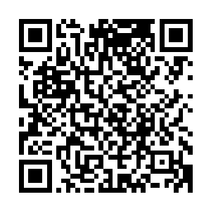 要不是那翡翠泥土没有丝毫瑕疵碧绿通透的能看出里面的样子二维码生成