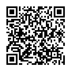 要不是金在珉身份特殊都快要开始怀疑对方是不是外星人了二维码生成