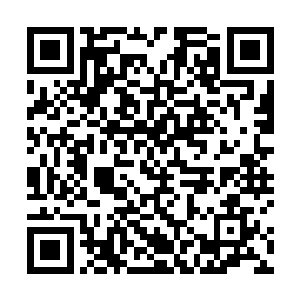 要不是雷天的身体强度已经达到了黄阶下品灵器的强度二维码生成
