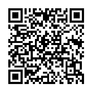 要不然不会为我们精心设计这样能够提高自己能力的关卡二维码生成