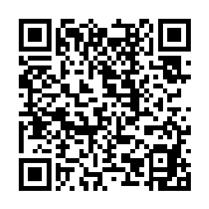 要不然也不会成为他们这一域中人口中所谓的至尊二维码生成