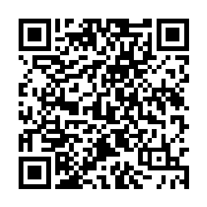 要不然人家还真会欺负过来……这些人都是盯梢的二维码生成