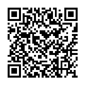 要不然他们不可能直接发动这么大规模的战斗啊二维码生成