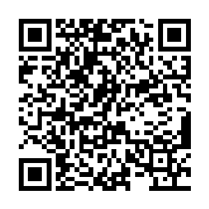 要不然它就不会自己放出这么重的香气来吸引人吃了二维码生成