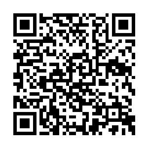 要不然我们这群姐姐也不知道接下来会发生什么二维码生成