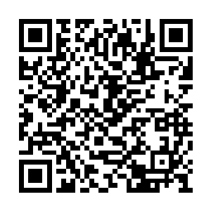 要不然无缘无故地在这里偷袭一个帝尊境做什么二维码生成