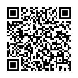 要不然杜笑眉还真以为自己是要被对方包养下来当个情入小妾呢二维码生成