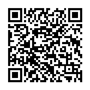 要不然每次都要在表姐的手上弄个口子我可不忍心下手二维码生成