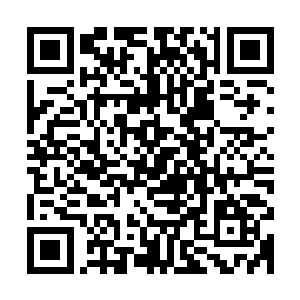 要不然自己还不是一个人傻傻的在王府里面等着阿璃回去吃饭吗二维码生成