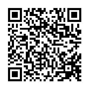 要不然这些刺耳的声音早就将他的耳膜刺出猩红的鲜血来二维码生成