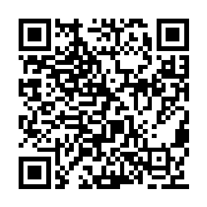 要不然那个董胖子肯定把我甩到十万八千里以外二维码生成