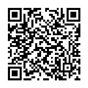 要不要将谢氏六房的明夫人和谢伊小姐请来一起看二维码生成