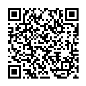 要不要组建人类文明自己的探索小队深入太古遗迹二维码生成