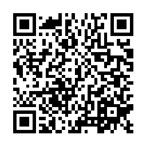 要么在碰触到四象琉璃火的时候被烧了一个干干净净二维码生成