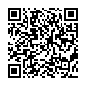 要么就等到晚上再行动……要么就潜到沙子底下爬过去……二维码生成