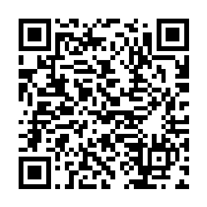 要么是被紫极剑宗重金聘请回来助拳的海外散修了二维码生成