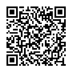 要么那便看老夫的兽王印能不能破开青鼎巨灵阵二维码生成