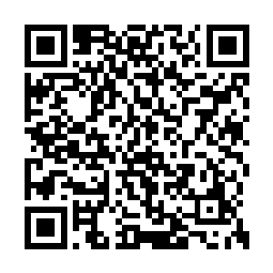 要在一个有两千四百多万人的城市寻找她的住处二维码生成