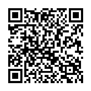 要在李天君和萧红绫这两个妖孽的圣地传人手中夺得传承二维码生成