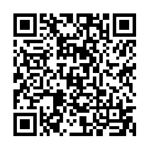 要如何证明太子殿下手中的这可水晶紫鱼是真的呢二维码生成