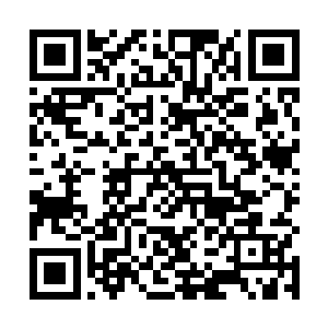 要将今天碰到的这些成名已久的老一辈选手们全部打败二维码生成