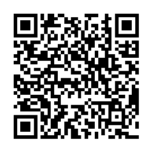 要将公司百分之二十的股份转让给一个叫林烽的年轻人二维码生成