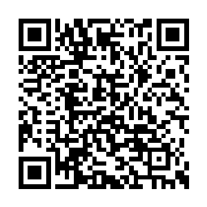 要彻底消灭除了元始族之外的所有碳基智慧生命二维码生成