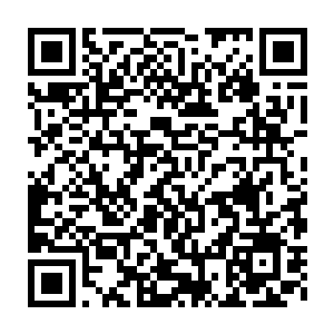 要想制成傀儡花的时间只怕比这还多――制作傀儡可比拆迁更精细二维码生成