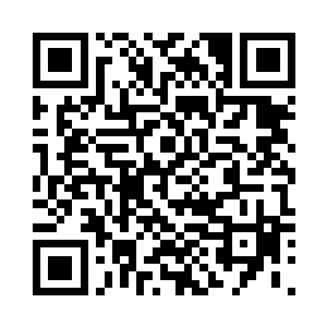 要想在他们身上找到什么之前的东西二维码生成