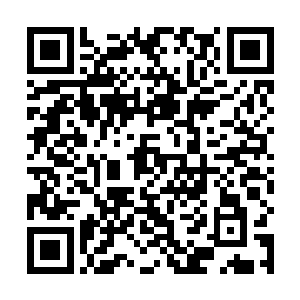 要想解决这里的一切就需要进入到这个湖面下面去看看二维码生成