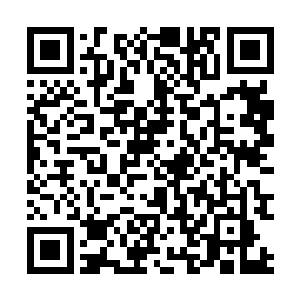 要想24小时内熟悉地形的话……除非有交通工具才行二维码生成