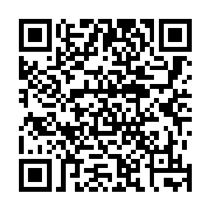 要是他们跌跌撞撞的突围出来的时候有人突然攻击怎么办二维码生成