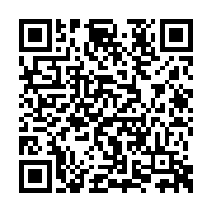 要是他当真寻到了那冰龙之筋补全了自己的残脉二维码生成