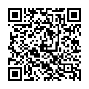 要是你去的话我答应你让你去我的收藏之中挑三样东西二维码生成