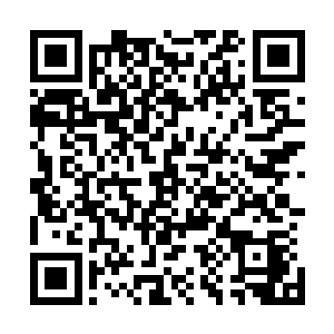 要是像他的师父这般一辈子追求武道追求世间最巅峰的力量二维码生成