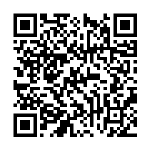 要是别的修士这戒指落在手中肯定也会拿不出注意二维码生成