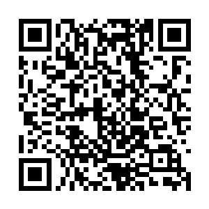要是只是变回普通人也就马马虎虎送你也没啥问题二维码生成