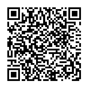 要是只有龙傲天一个人的话龙傲天还有一些把握付出一些代价将对方杀死二维码生成