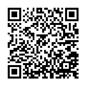 要是因为这一点点委屈就迁怒咱们芸公主……这样的龙少主二维码生成