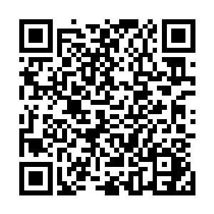 要是她看到他们遇到危险不小心手滑把三十六景毁了怎么办二维码生成