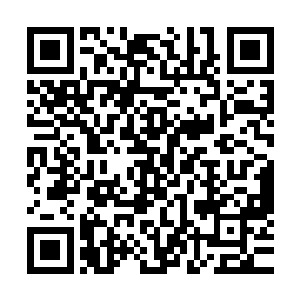要是幽冥火也可以吸收这些红色的追踪来不断的提升修为的话二维码生成