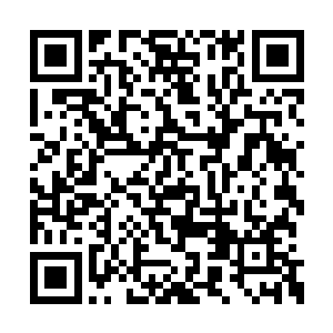 要是您能来陪伴我度过这个生命中最美妙的夜晚二维码生成