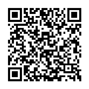 要是我通过了聚神柱的检测就能参加龙虎榜之战二维码生成