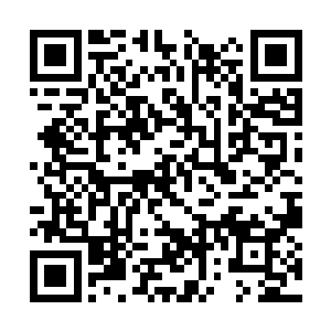 要是把这小家伙抓回宗内那他肯定会被父亲表扬的二维码生成