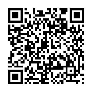要是换做他们早就让人将这小子给打断腿丢出去了二维码生成