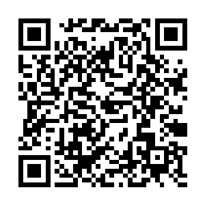 要是换成别的武霸强者从这么高的断崖上摔下来的话二维码生成