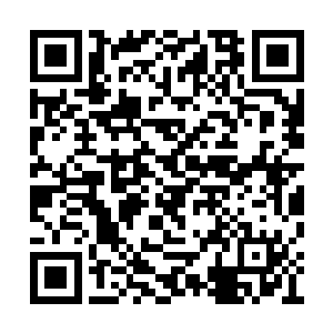 要是有谁敢偷懒就给我用皮鞭子抽他们几个好了二维码生成