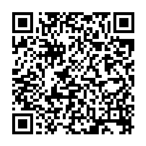 要是本姑娘再听到有任何人在背后嚼舌根子说是我们给乐家带来的厄运的话二维码生成