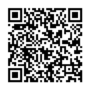 要是本源元界没有组成种族大联盟来一致对抗神族和魔族的话二维码生成